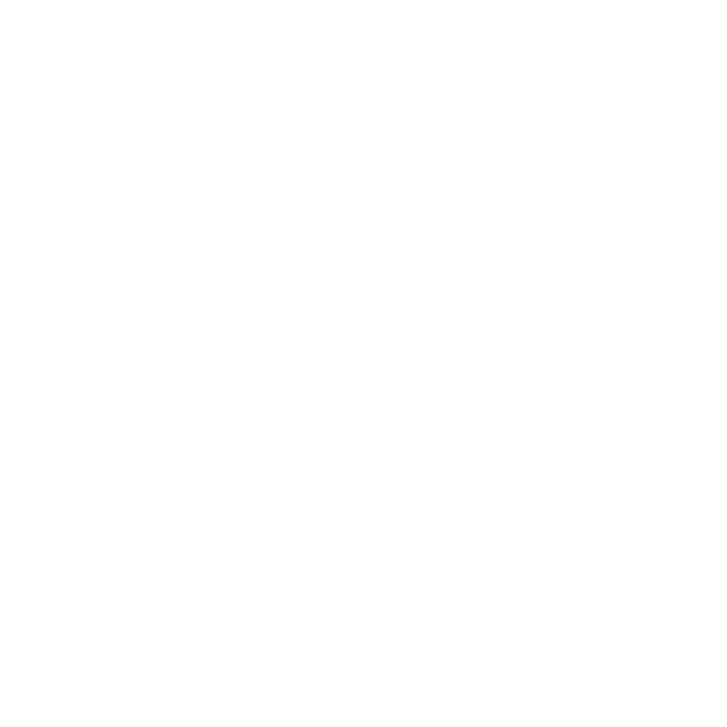 TetroniMedia Icon
